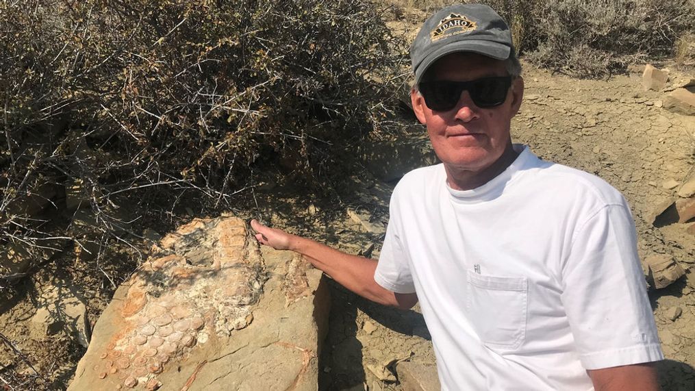 Alan Dailey with the block of sandstone with ichthyosaur fin, vertebrae, and ribs that he found in May, right before the team collected it on September 8. (Photo: Utah State Parks)