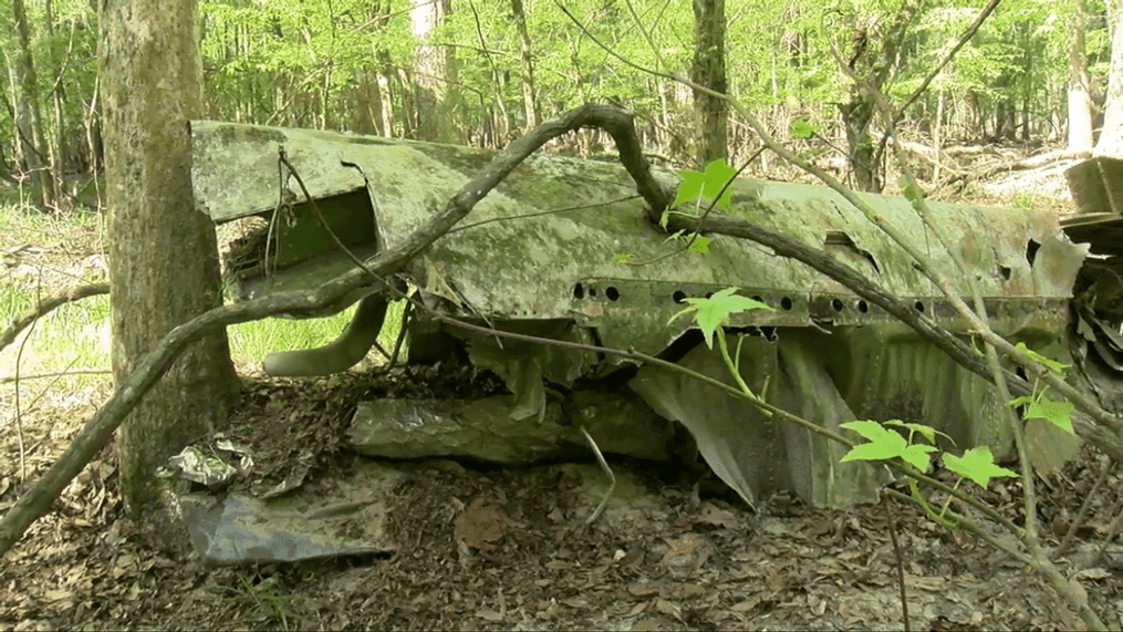 Swallowed by the swamp: 1950s military plane crash part of forest's history. (WCIV)