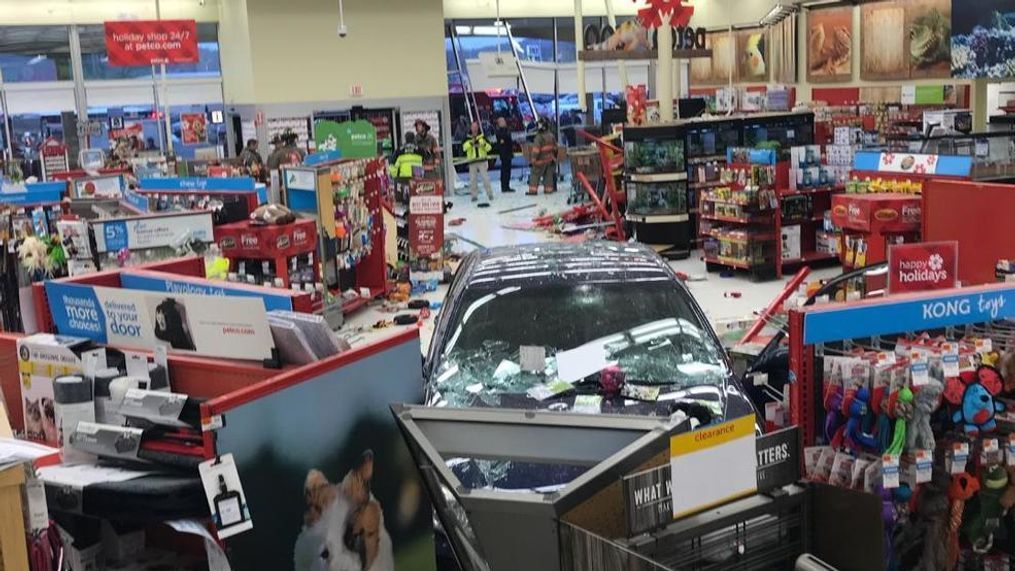 Pittsfield police: Car drives into Petco store. (Pittsfield Police Department)