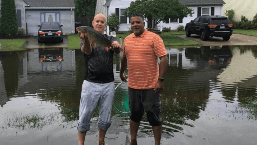 Virginia Beach man catches fish in flooded street. (Courtesy Frank Munson)