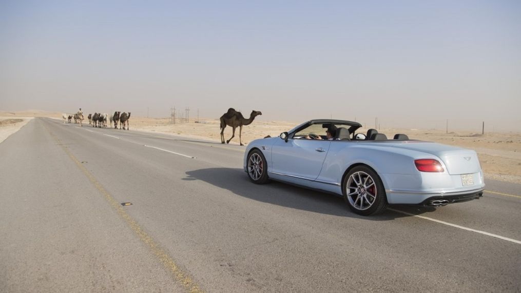 Bentley Continental GT races a train across Saudi Arabia
