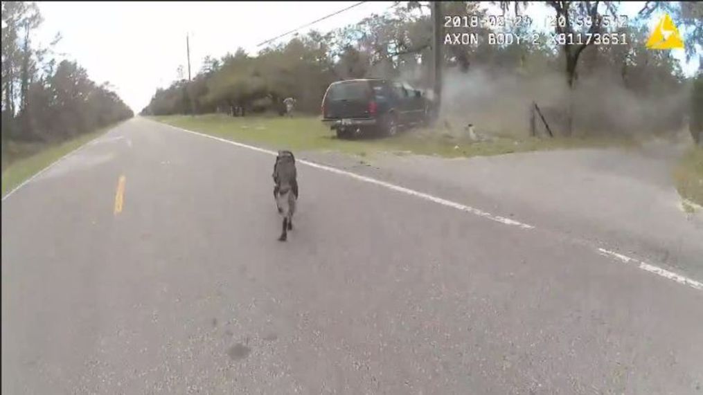 A K-9 deputy with the Pasco Sheriff's Office caught a fleeing suspect. (Pasco County Sheriff)