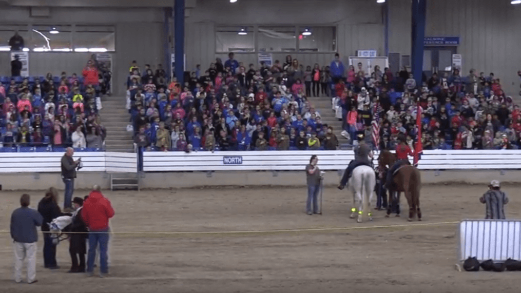 Equine Education Day-Photo courtesy Jerry Harris