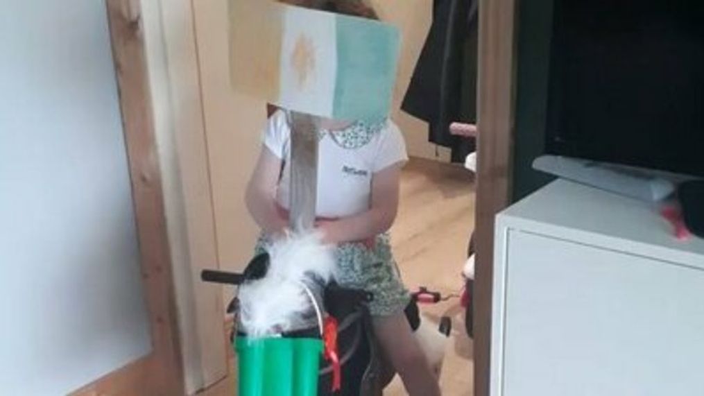 Irish Family Holds Makeshift St Patrick's Day Parade Indoors (Claire Roche via Storyful)