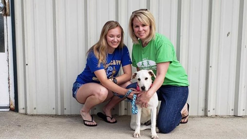 Marvella, who was found with "free" and "to a good home" written on her with marker was adopted Wednesday morning (Ross County Humane Society)