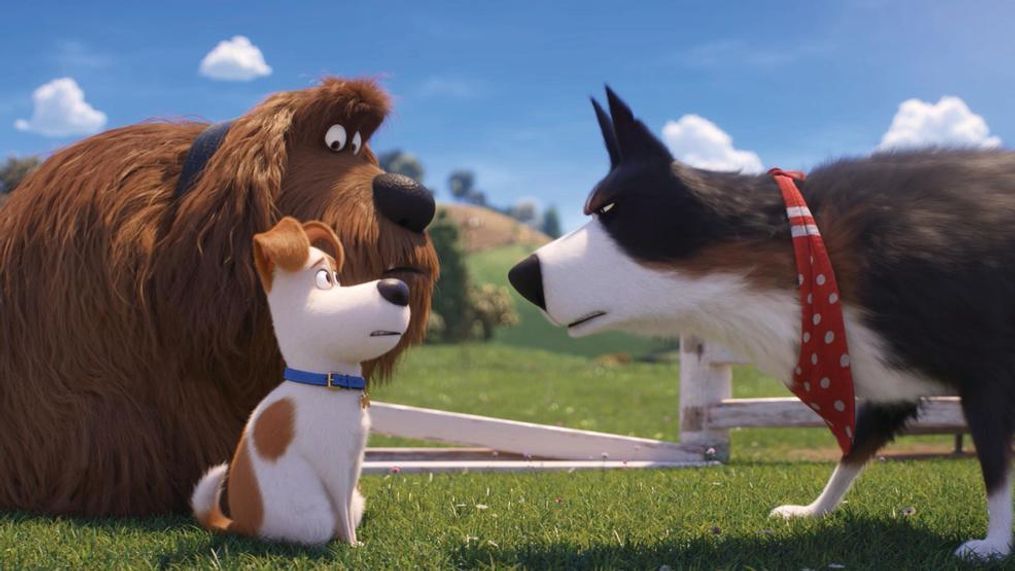 (from left) Duke (Eric Stonestreet), Max (Patton Oswalt) and Rooster (Harrison Ford) in Illumination's "The Secret Life of Pets 2," directed by Chris Renaud. (Photo: Universal Pictures)