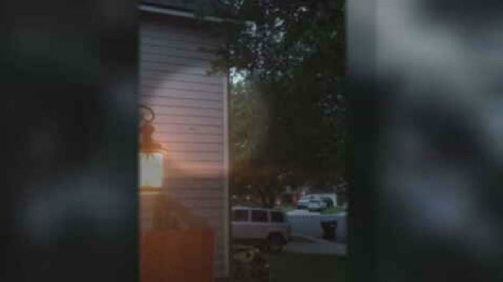 San Antonio woman discovers bat colony inside her home. (WOAI)