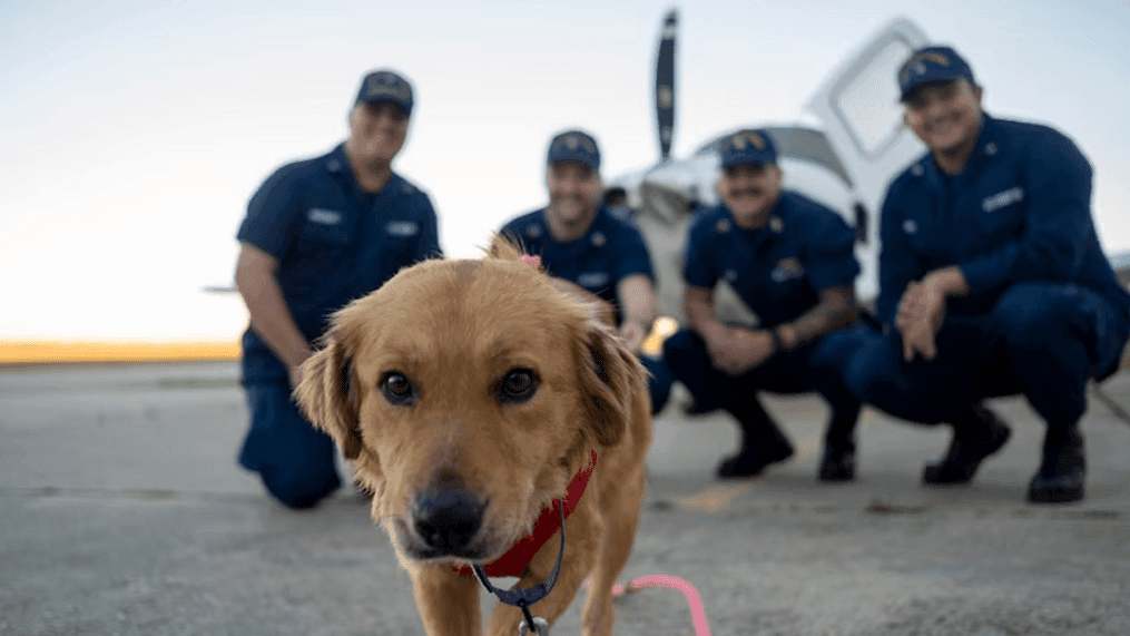 Dog reunited with U.S. Coast Guard members who saved her (Photo: U.S. Department of Defense){&nbsp;}