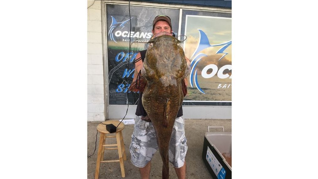 Jeffrey Dill reeled in a 68.12 pound catfish at Lake Smith around 8:30 a.m. Saturday (Oceans East Bait and Tackle)