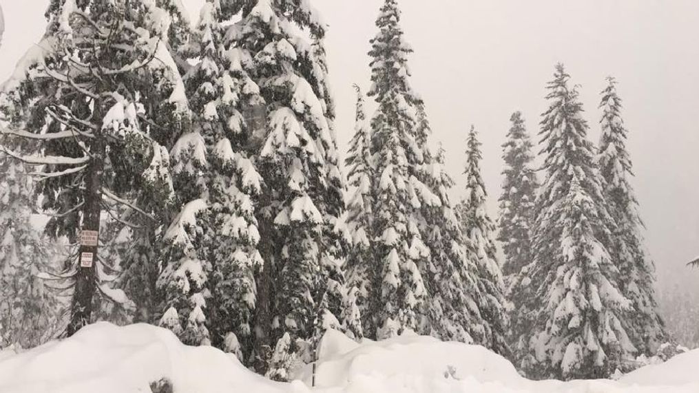 FILE - Snow at Snoqualmie Pass, Wash. (KOMO)