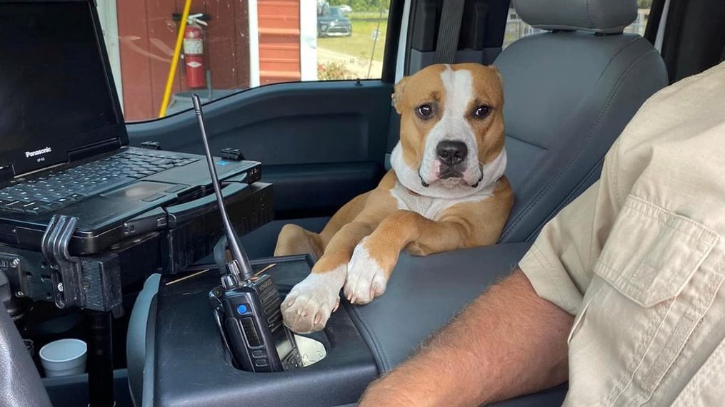 A social media post shared by an animal control officer on the Marion County Animal Shelter’s Facebook account has gone viral. (Courtesy: Marion County Animal Shelter).