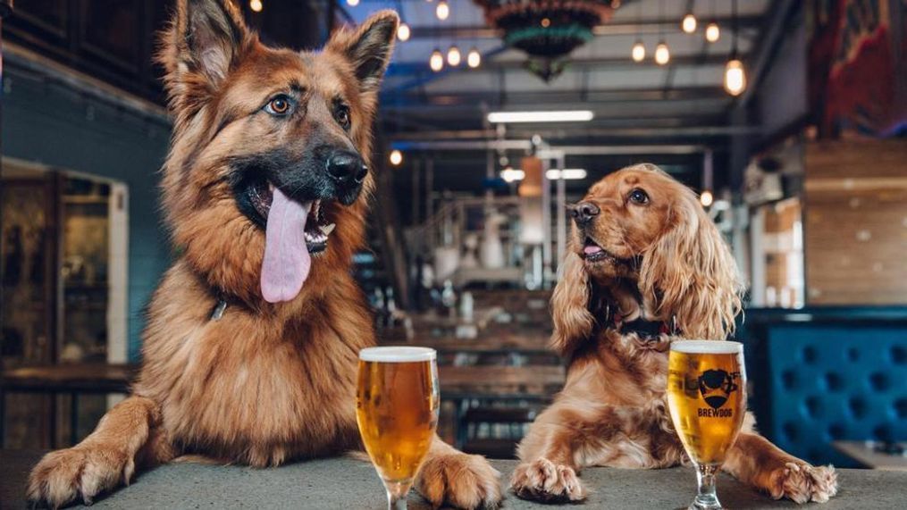 (Courtesy: BrewDog)