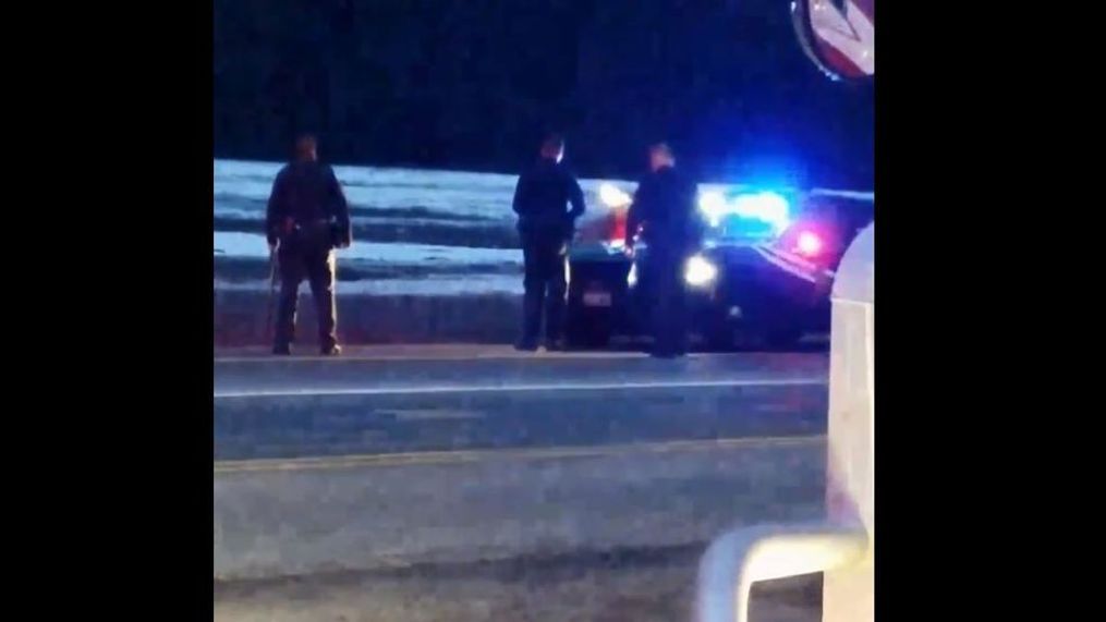 Police try to move an elk off Highway 53 in north Idaho. The elk had different plans. (Courtesy Michelle Janshen)