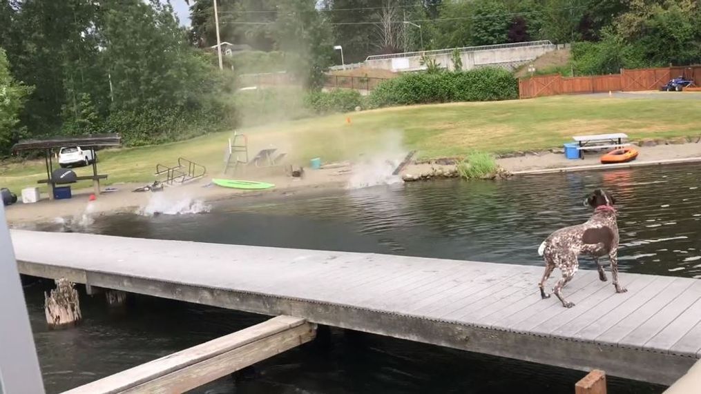 Dust devil wreaks havoc along Lake Sammamish (Photo via Peter Barnes)