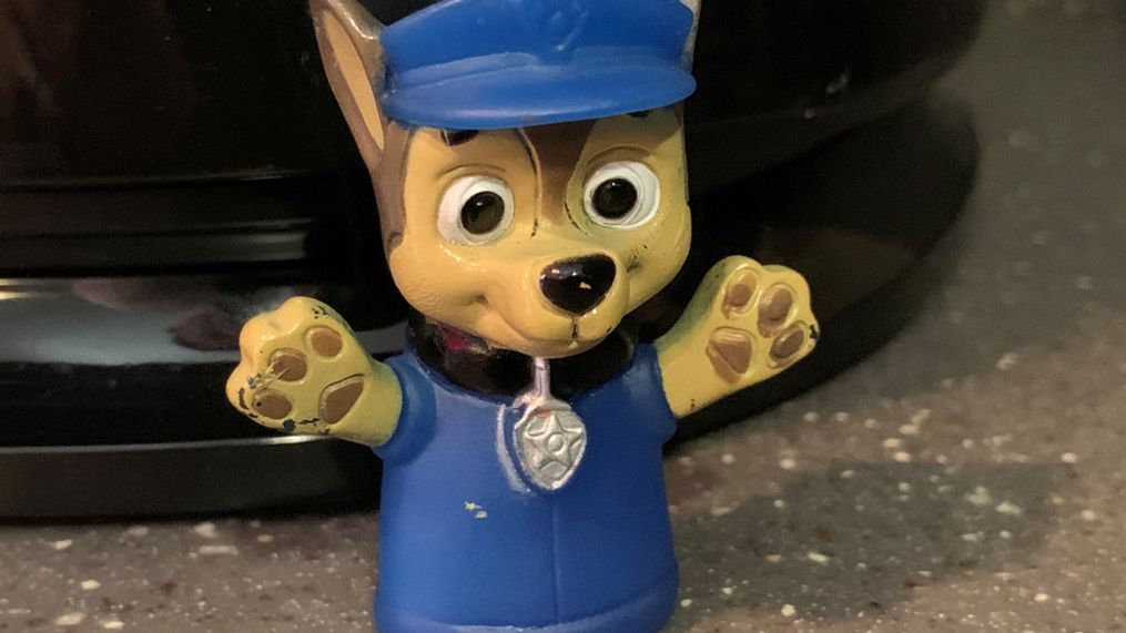 Some people are calling for The Nickelodeon Network show "Paw Patrol" to be canceled or to eliminate police dog character Chase.  (Photo by Dave Bondy)