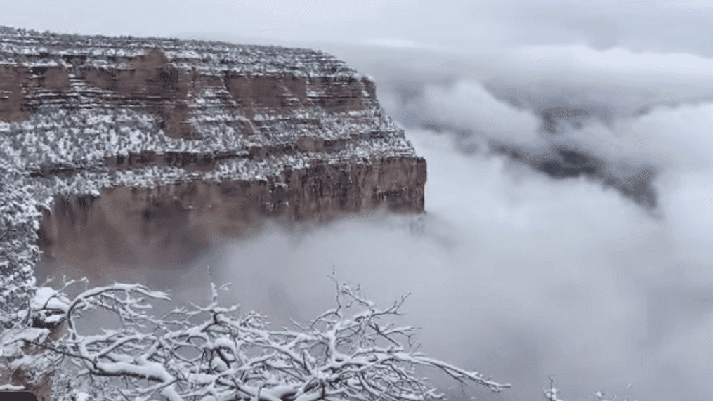 Video shows 'partial cloud inversion' at snowy Grand Canyon on Monday, Jan. 25, 2020. (Courtesy: Grand Canyon National Park)