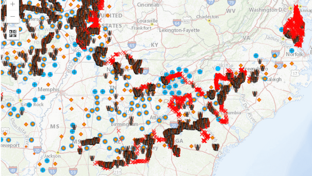 2024 -{&nbsp;}North Carolina residents in Buncombe, Cabarrus, Chatham, Davidson, Davie, Durham, Gaston, Guilford, Mecklenburg, Montgomery, Orange, Randolph, Rowan, Stanly, Union and Wake Counties can expect to see the emergence of Brood XIX (19) this year, which includes the cicada Magicicada Tredecim. The last time we saw them in Asheville was in 2011. (Credit: USGS)