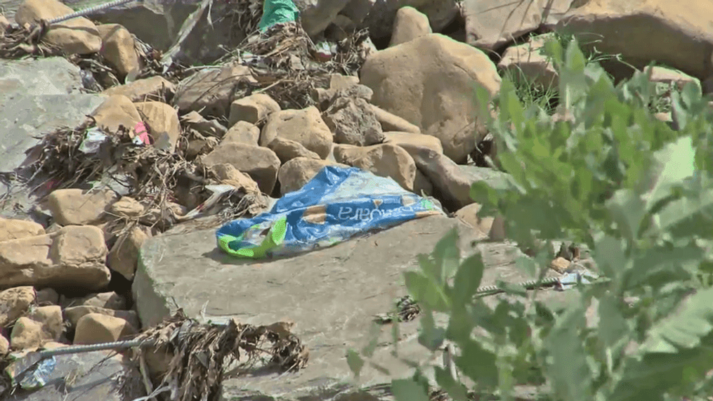 From cleaning up trash to taking water quality samples, organizer Chad Carwein says the trash would normally flow into the Tar River. (Photo: Tyler Hardin, WCTI NewsChannel 12)