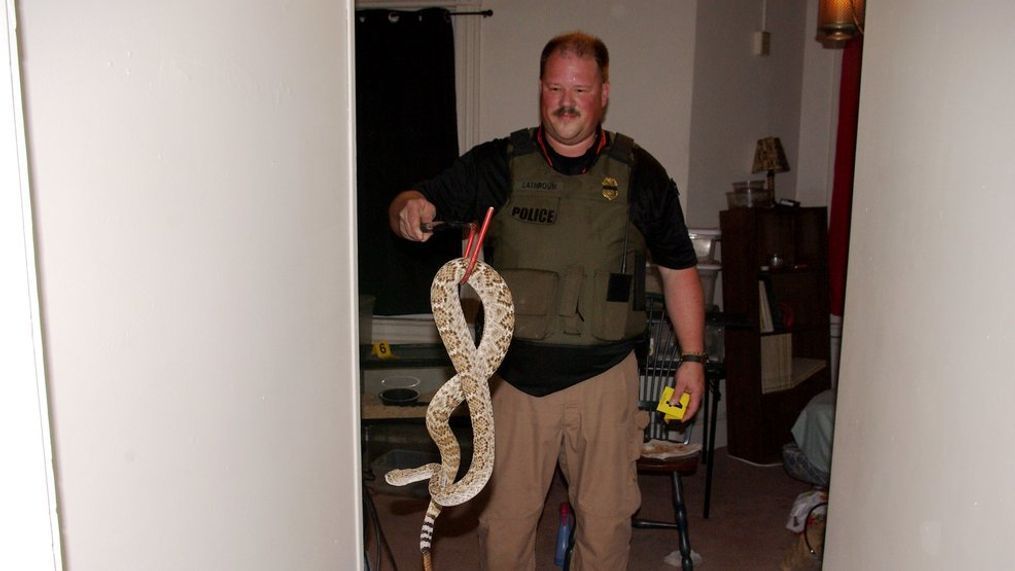 A Natural Resources Police officer is seen holding venomous snakes in a western Maryland man's apartment (Photo: Maryland Natural Resources Police)