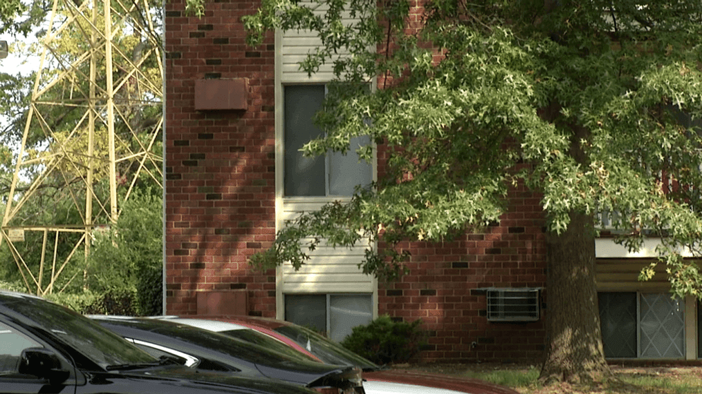 Apartments on Stirrup Lane (Larry Wallace/WNWO)