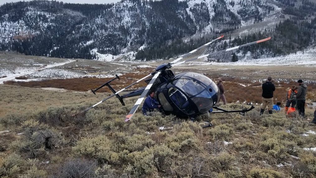 Elk brings down helicopter. (Wasatch County Search and Rescue)