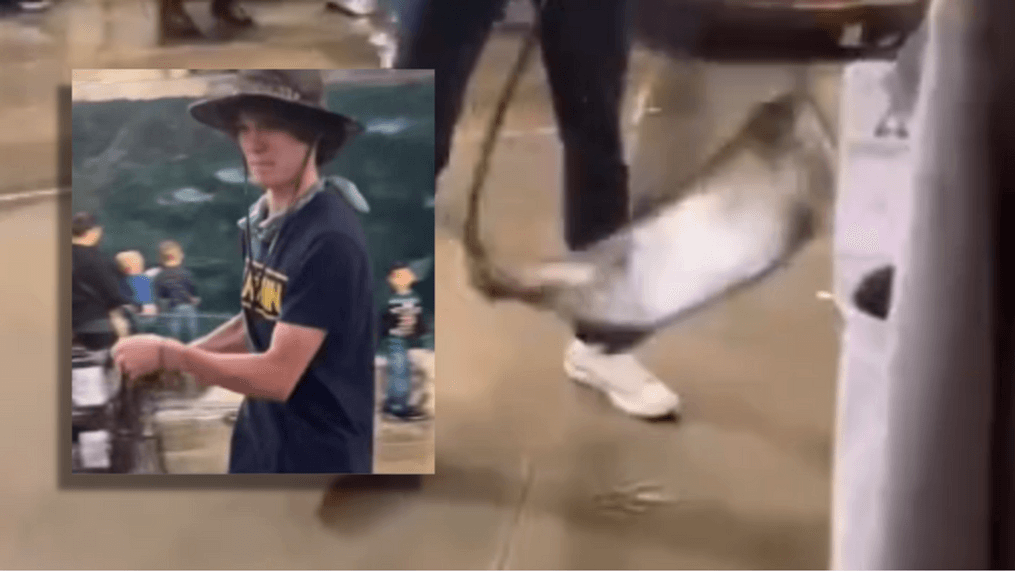 The Lee County Sheriff's Office (LCSO) said on Wednesday, December 20, a young man went into a Bass Pro Shop and took a 50-pound live fish from the store's tank. (SWFL Crime Stoppers)