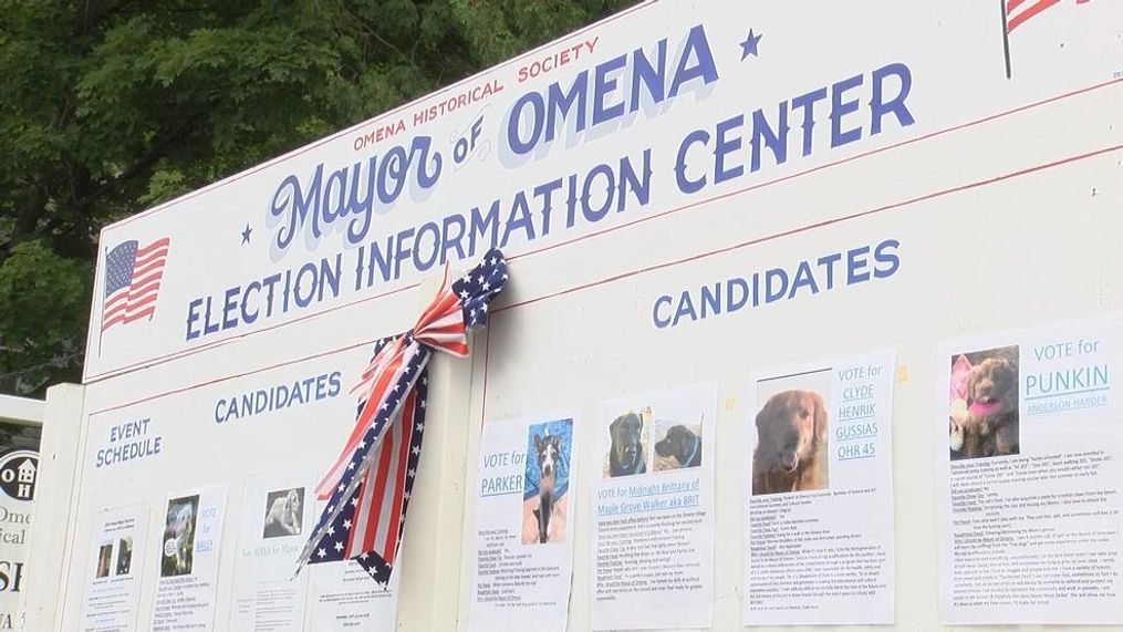 A 9-year-old cat named Sweet Tart won the 2018 Omena mayoral election, topping 17 other candidates in the process. (WPBN/WGTU)