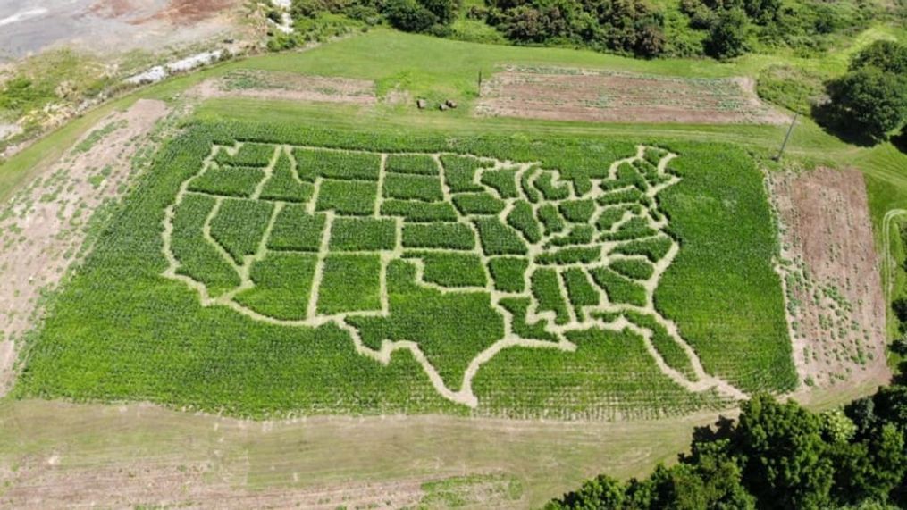 {p}Lee Highway Farms has created a corn maze in the shape of the United States (Lee Highway Farms){/p}