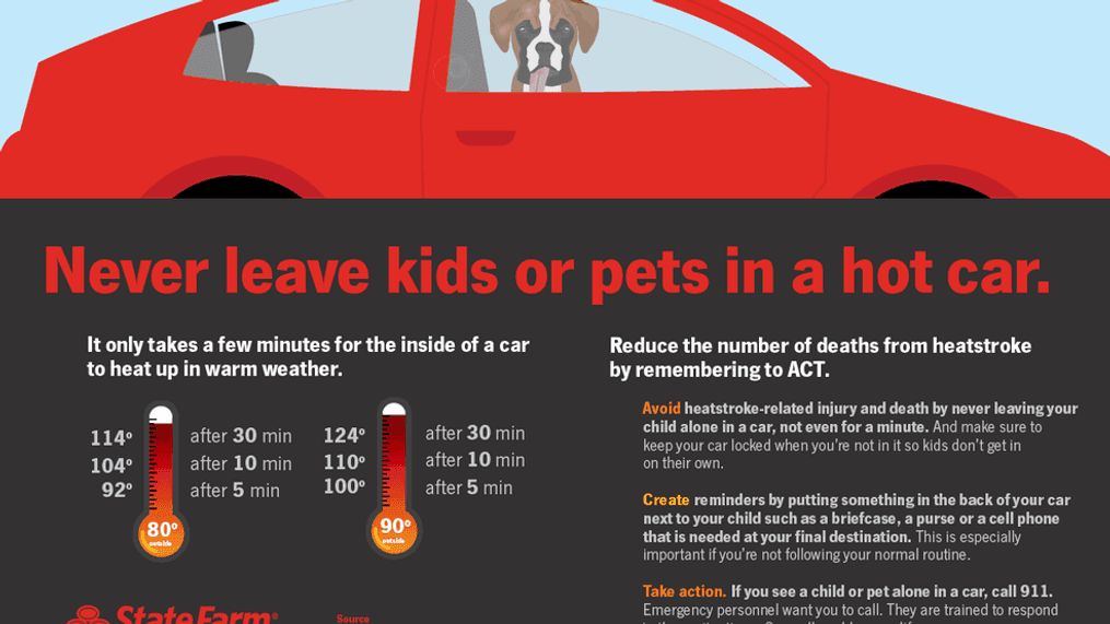 Temperatures inside cars can soar in only a few minutes – increasing the risk of death from heatstroke. 