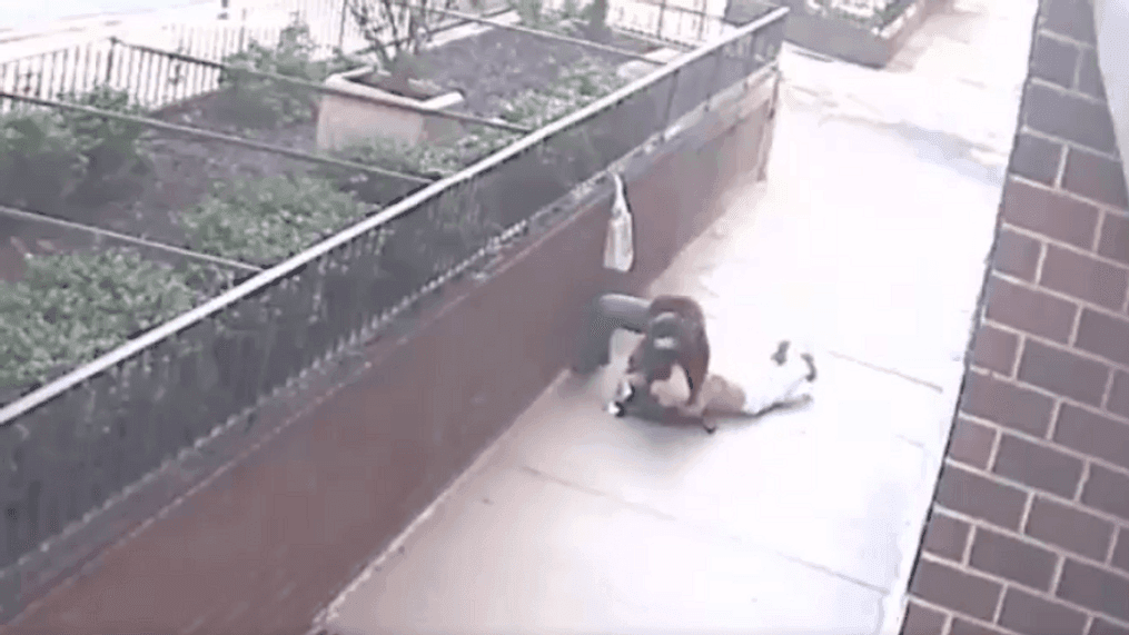 Assault caught on camera in broad daylight in New York (NYPD/Twitter) *Viewer discretion is advised*