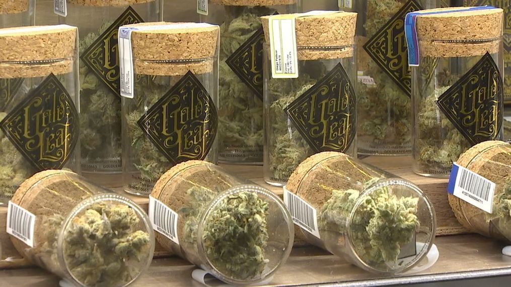 The state's legal marijuana industry is gasping for help, following the rollout of new tracking software that many growers say doesn’t work. (Photo: KOMO News)