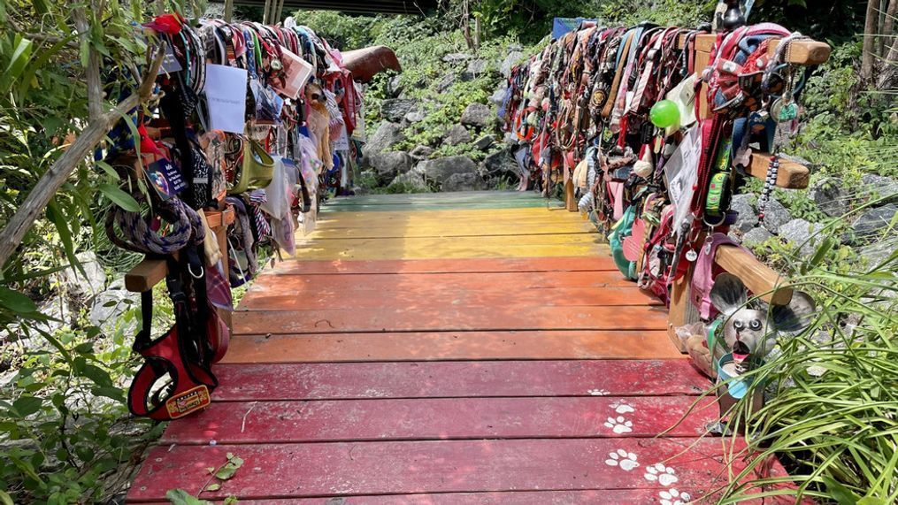 August 2023 - Tucked away in Lake Lure is a Rainbow Bridge, a place where people can go to reflect and remember their beloved pets who have passed on. It's also a place where people can "cry, and then they laugh, and then...giggle when they see the silly things that people have put there," the bridge's creator Amy Wald says. (Photo credit: WLOS Staff)