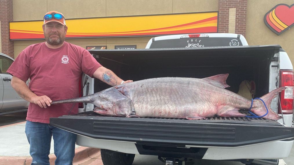 Man reels in 120-pound paddlefish in Tennessee, sets new record (Photo: Tennessee Wildlife Resources Agency)