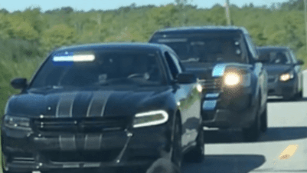 Bear cub receives police escort after stopping traffic in North Carolina (Nicole Hines via Storyful)