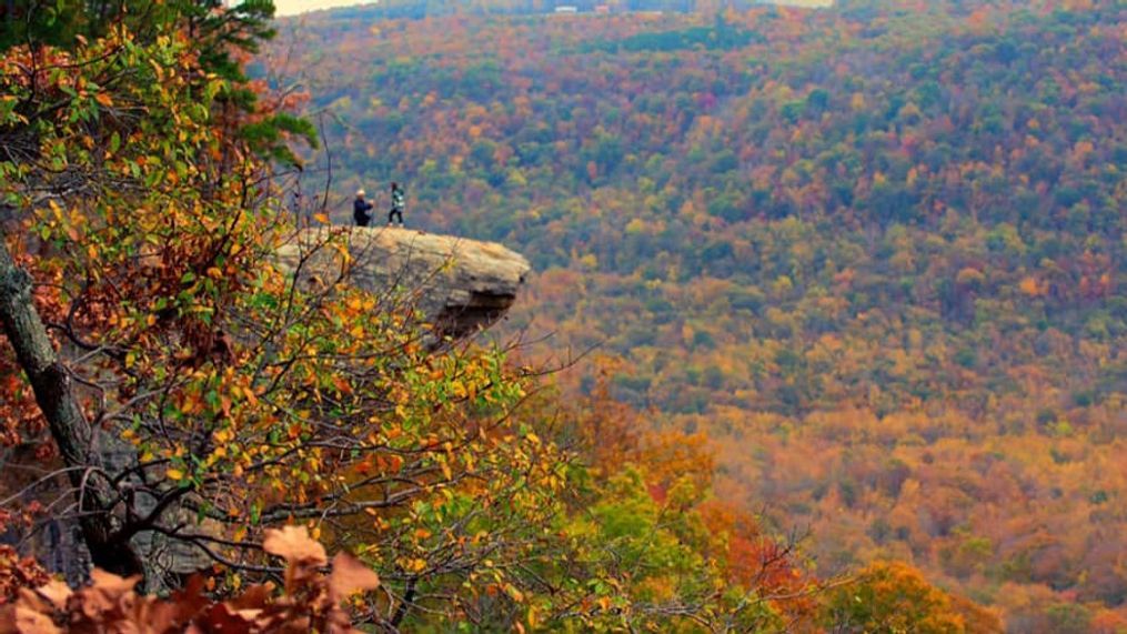 An Arkansas photographer has found a couple who he observed and captured getting engaged at  Hawksbill Crag in  Newton County.(Photo: Joel Damarillo Sebag)