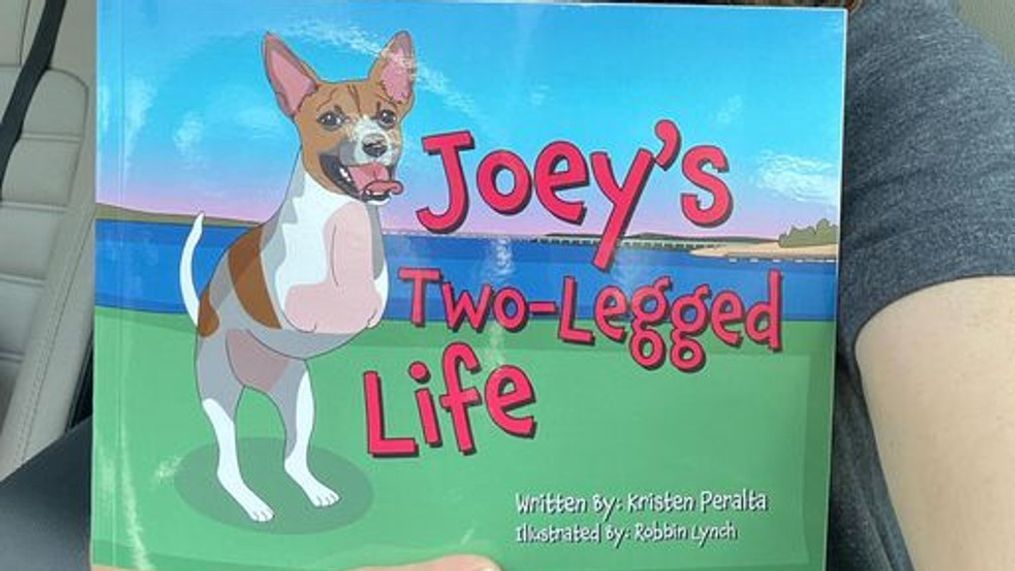 {p}Joey, an adorable dog who was born without front legs, now has his own children's book. It's called "Joey's Two-Legged Life." (Photo: Kristen Peralta){&nbsp;}{/p}