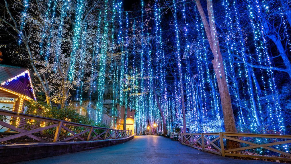 Hundreds of holiday drones to light the night sky over Dollywood this Christmas season (Photo courtesy Dollywood)