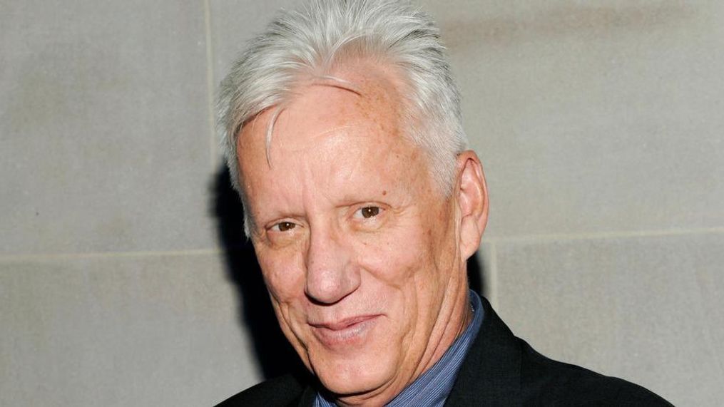 FILE - In this June 25, 2013 file photo, actor James Woods attends the "White House Down" premiere party at The Frick Collection, in New York. (Photo by Evan Agostini/Invision/AP, File)