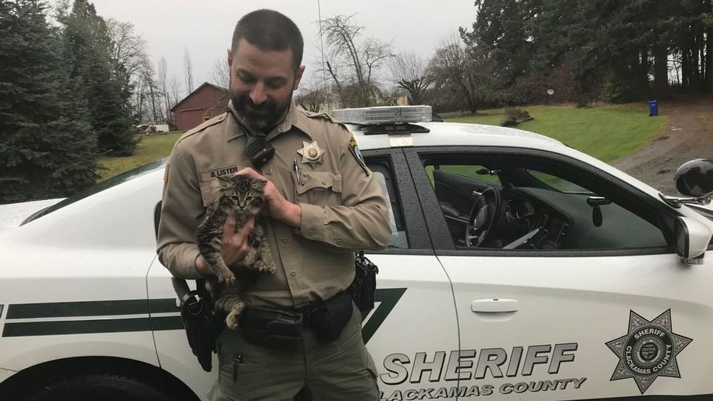 CCSO deputy helps save kitten from tree. (CCSO){br}