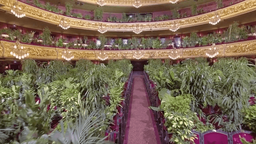 Barcelona's Opera House has reopened and its inaugural performance was to an audience of more than 2,000 plants. (Photo:{&nbsp;}	LiceuOperaBarcelona/YouTube via CNN Newsource)