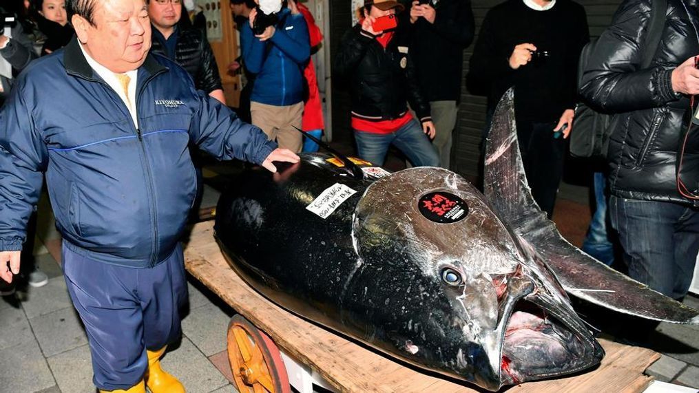 Kiyomura Corp. owner Kiyoshi Kimura, left, stands near the bluefin tuna which he made a wining bid at the annual New Year auction, in Tokyo Saturday, Jan. 5, 2019. The 612-pound (278-kilogram) bluefin tuna sold for a record 333.6 million yen ($3 million) in the first auction of 2019, after Tokyo's famed Tsukiji market was moved to a new site on the city's waterfront. (Koki Sengoku/Kyodo News via AP)