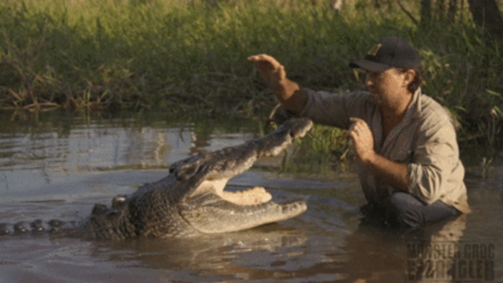 Man bonds with wild croc in Australia's northern territory (@mattwright via Storyful)