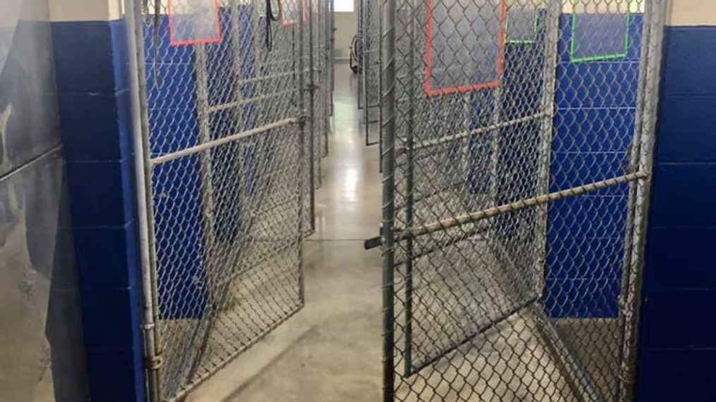 The Cleveland, Tennessee Animal Shelter celebrated empty cages on Thursday (Image via Cleveland, TN Animal Shelter Facebook)