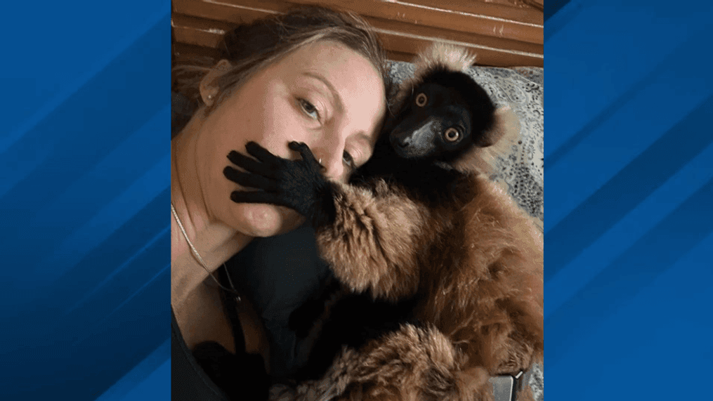 A woman on Ohio is offering a $1,000 reward to anyone who finds her pet lemur, as the animal has been missing for nearly two weeks. (Photo courtesy of Amanda Beaver){&nbsp;}