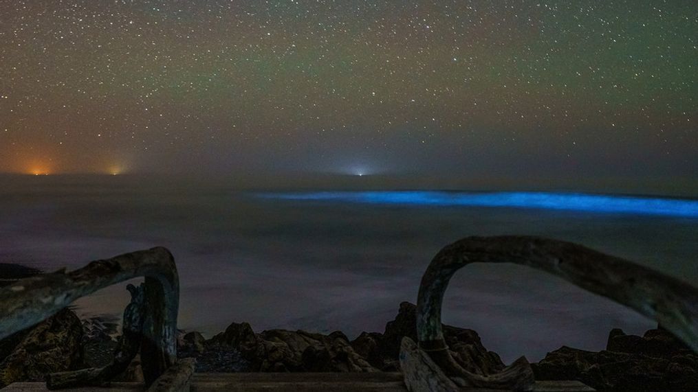 Bioluminescence glows off the beaches in Klalaoch, Wash. on April 17, 2021. (Photo: Matt Nichols / CAMIT Olympic Media)