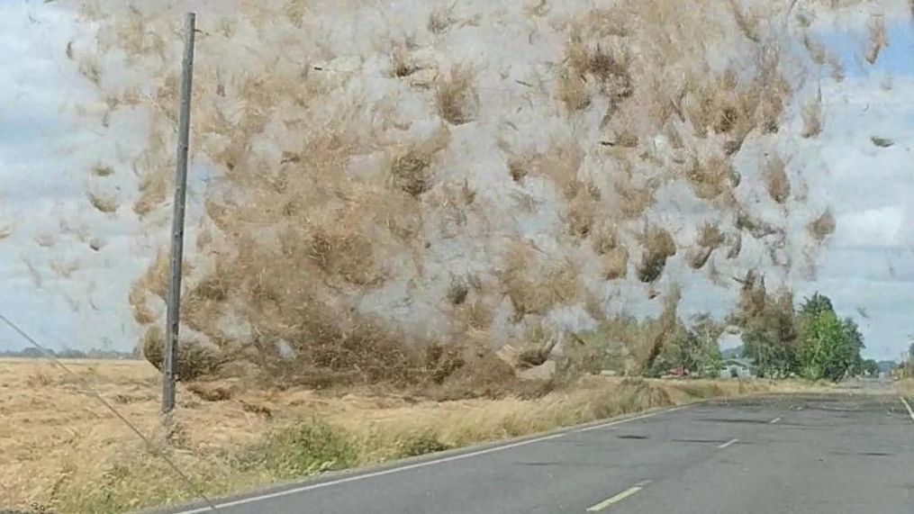 A dust devil strikes a pickup truck in Lebanon, Oregon on July 2, 2018 (Photo: Jennifer Scott)