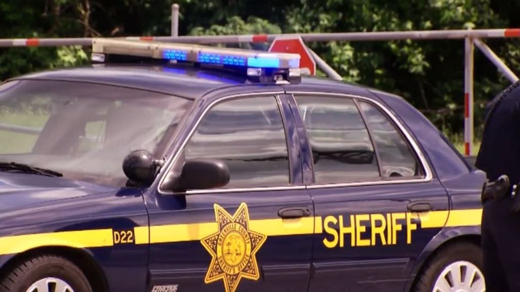 'We know your intentions...STOP': SC sheriff asks people to stop having sex at park (WLOS)