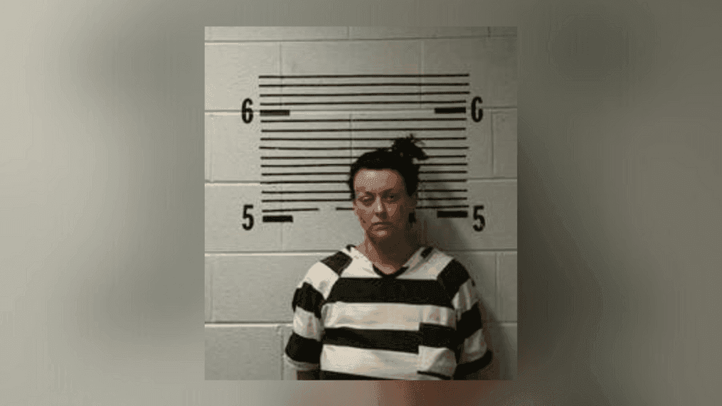 Daughter of Wynonna Judd, Grace Kelley, charged with indecent exposure and obstructing governmental operations (Elmore County Jail){&nbsp;}