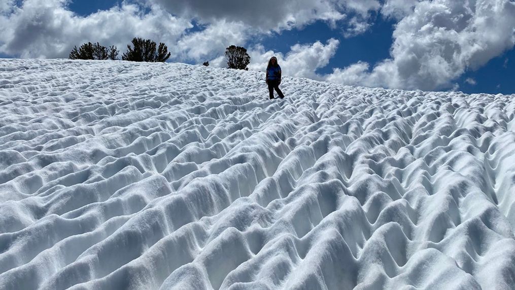 Sun cups as far as the eye can see. (Courtesy: Beth Pratt)