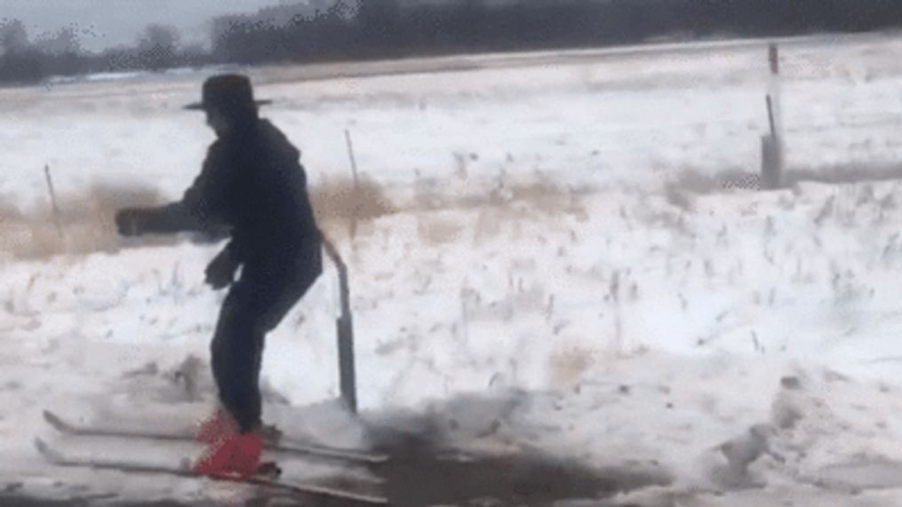 Man in Amish clothing skis behind horse-drawn cart in Minnesota (Sue Jordan Mulville via Storyful)